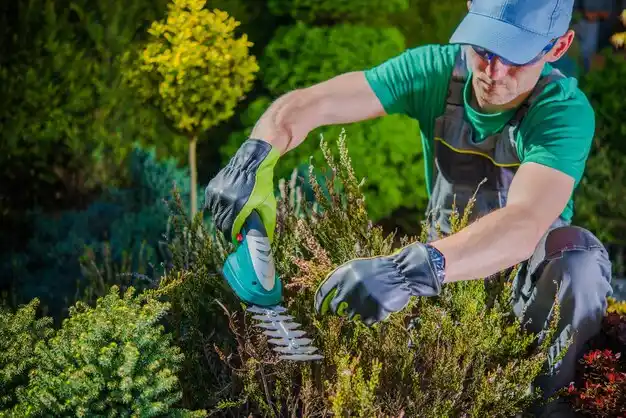 landscaping services Mount Orab